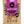 Sea Snacks Giant Squid 30 g pose forfra med magenta felt, fisketegninger og merket 100 % naturlig