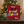 Jerky Store julekalender på et trebord med granbar, en kopp kakao og juletre i bakgrunnen
