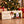 Fine Gusto Jerky Julekalender ved siden av innpakkede gaver under juletreet, KI-generert bilde