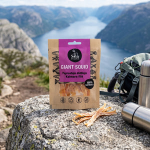 Sea Snacks tørket blekksprut på en stein ved en fjellsti høyt over fjorden, med ryggsekk og termos, AI-generert bilde