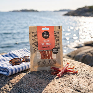 Sea Snacks tørket laks på et svaberg ved sjøen, med håndkle og solbriller, AI-generert bilde