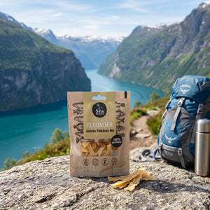 Sea Snacks tørket rødspette på en stein ved en fjellsti høyt over fjorden, med ryggsekk og termos, AI-generert bilde